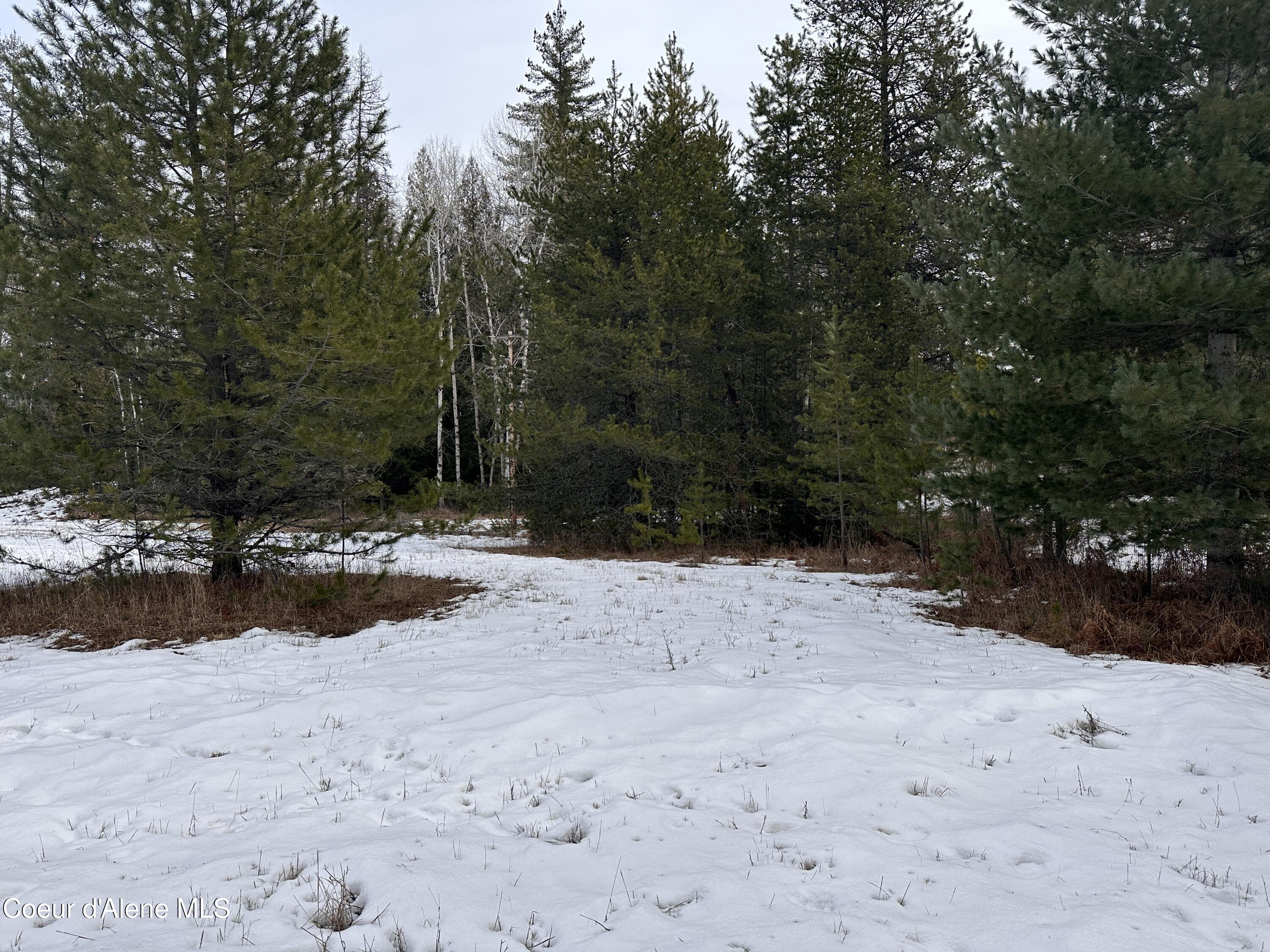 2727 Selkirk Road Sandpoint, ID 83864 - Photo 68 of 68 LowerAcrefromRoad