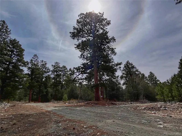 a view of road with trees