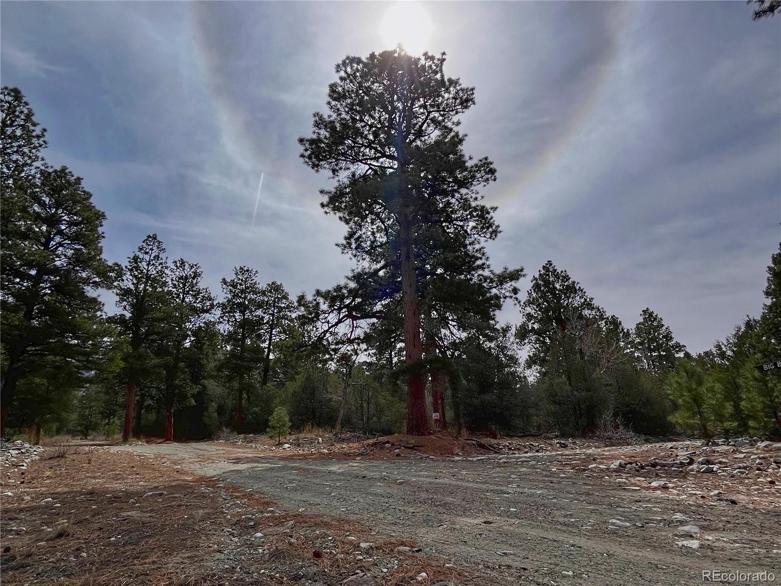 54 Big Bear Road Mosca, CO 81146 - Photo 11 of 16 a view of road with trees