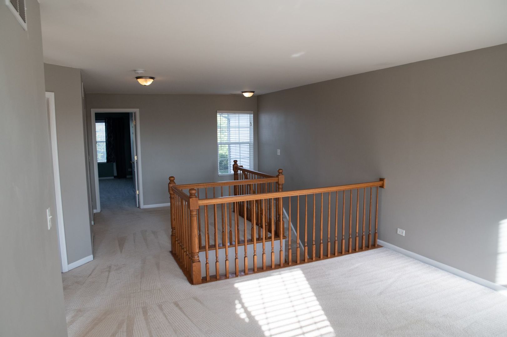 24130 Walnut Circle Plainfield, IL 60585 - Photo 40 of 41