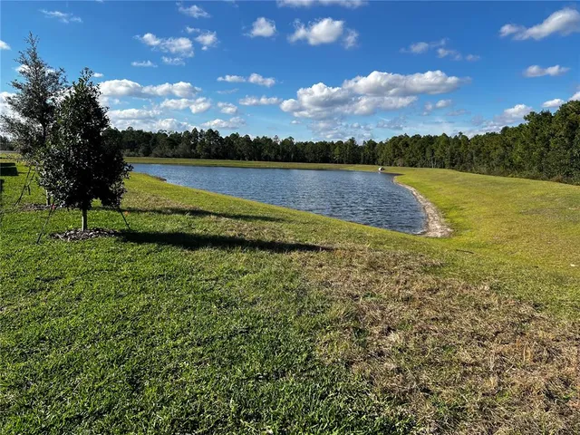 $4,700 | 12893 Harvest Rain Avenue, Winter Garden, FL 34787