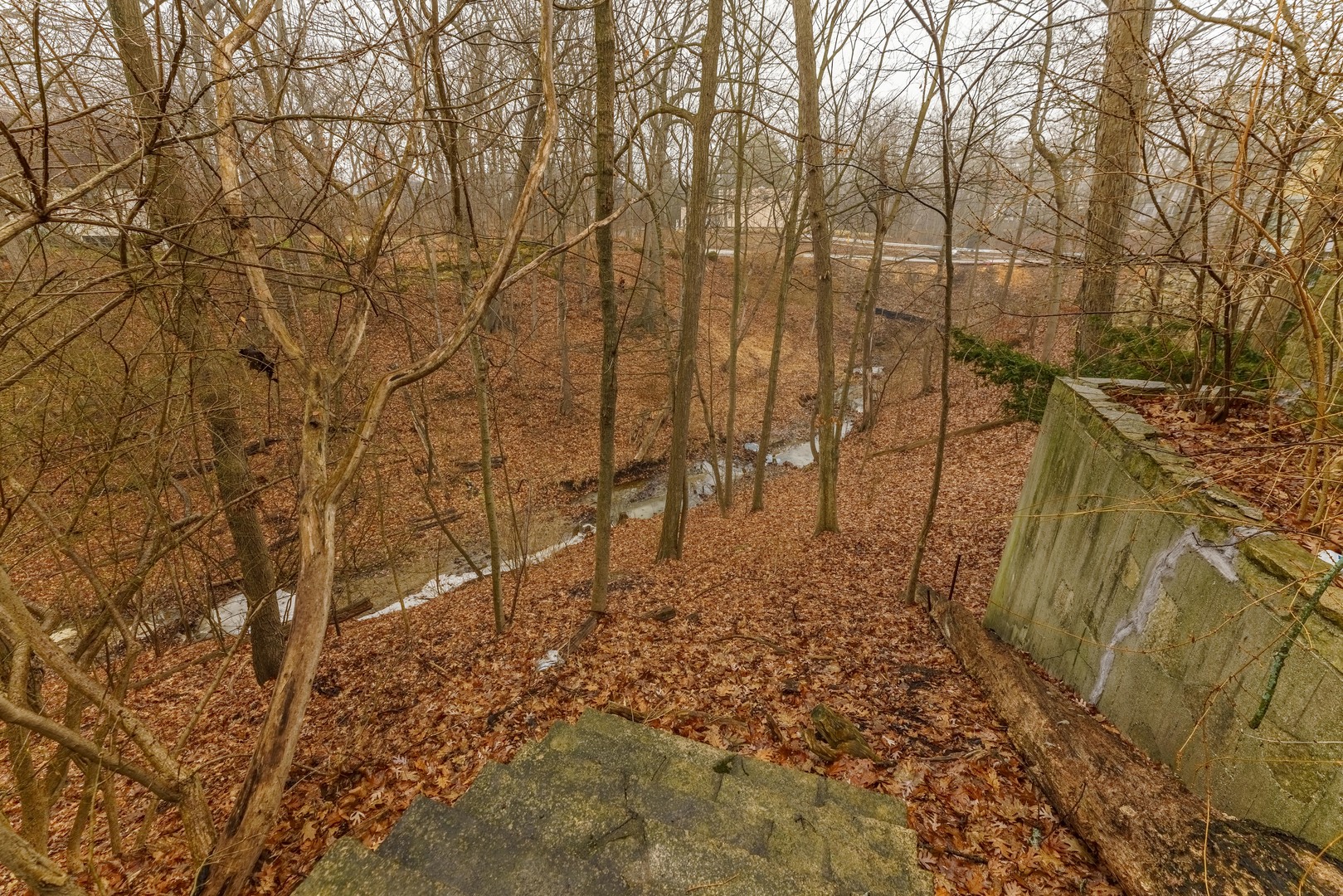 219 Woodland Road Highland Park, IL 60035 - Photo 43 of 44