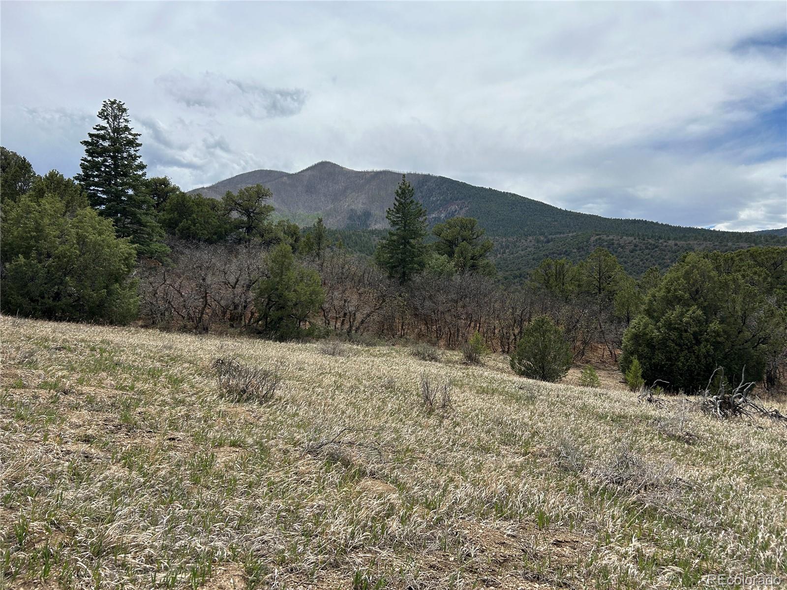 0 Pass Creek Road Gardner, CO 81040 - Photo 9 of 28