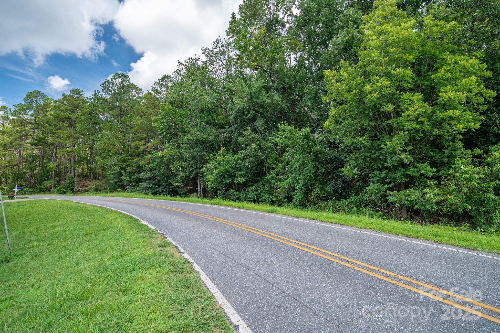 Lot 12 McDade Road Forest City, NC 28043 - Photo 2 of 10 a view of a yard with a trees