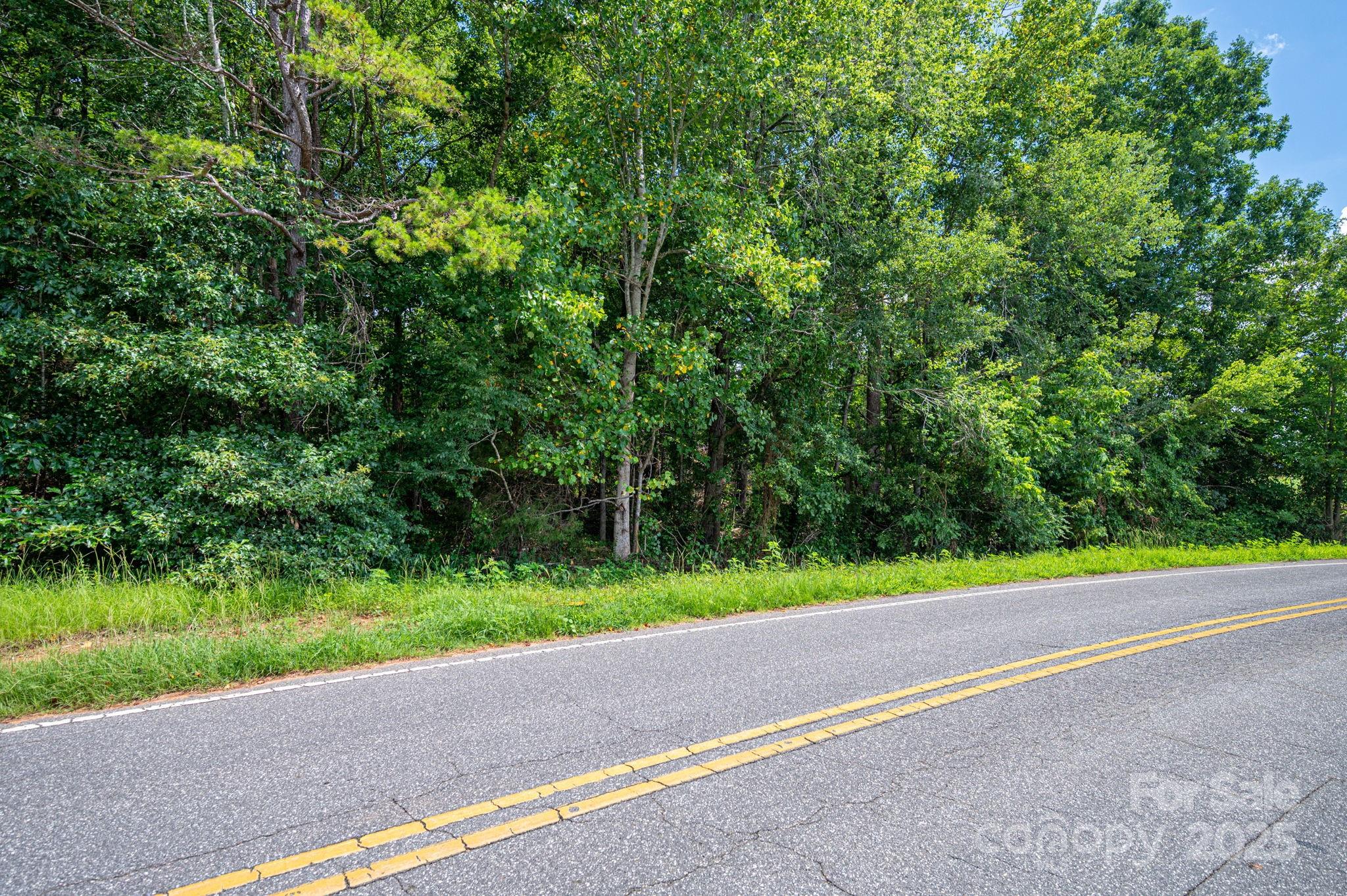 Lot 12 McDade Road Forest City, NC 28043 - Photo 4 of 10 a view of outdoor space and yard