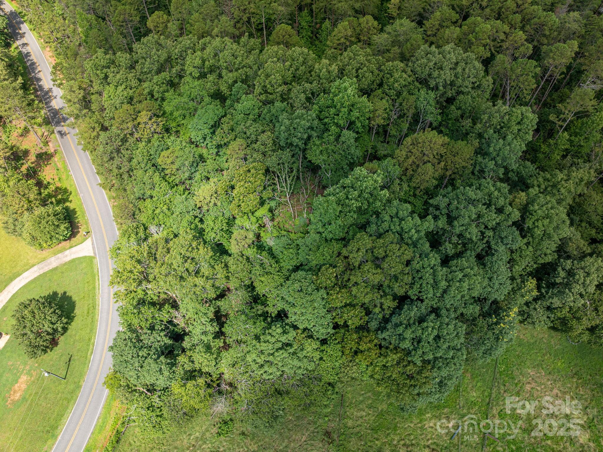 Lot 12 McDade Road Forest City, NC 28043 - Photo 6 of 10 a view of a lush green forest with large trees