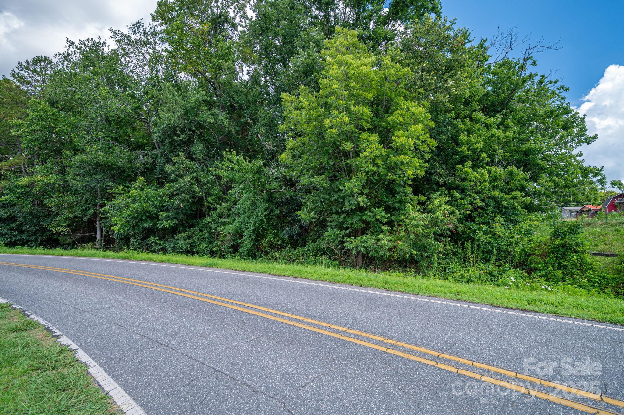 Lot 12 McDade Road Forest City, NC 28043 - Photo 7 of 10 a view of a yard and a house