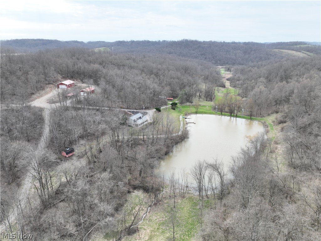 39000 Lees Run Road Cadiz, OH 43907 - Photo 2 of 49