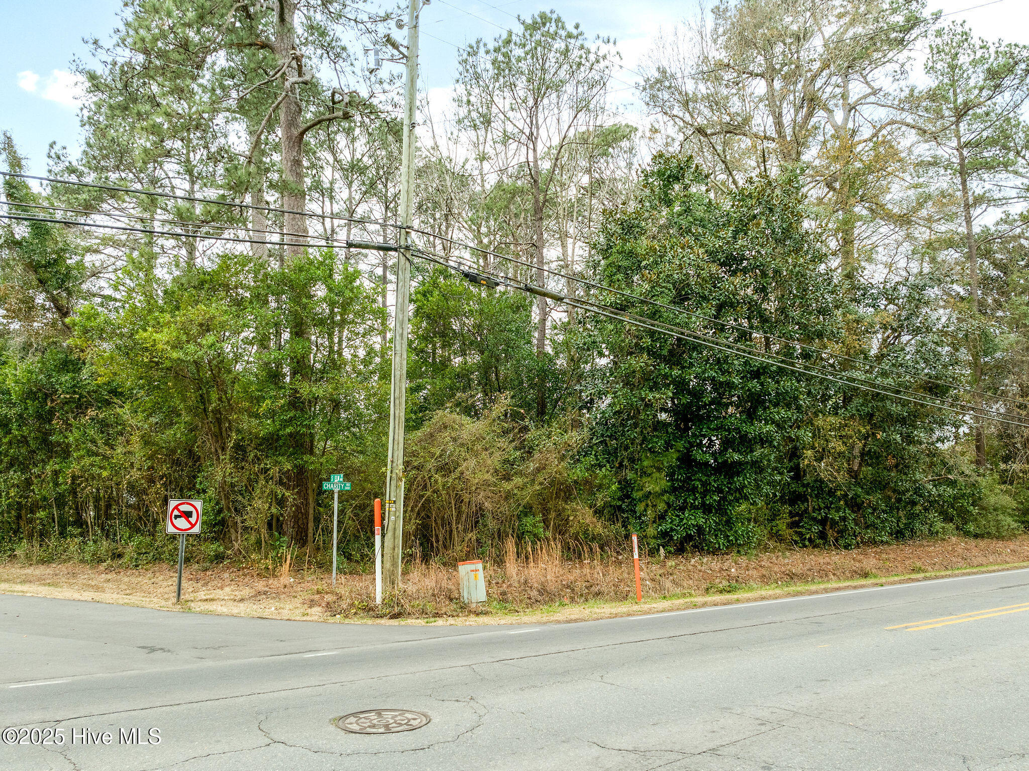 1 West Charity Road Rose Hill, NC 28458 - Photo 5 of 15 rosehilllot15