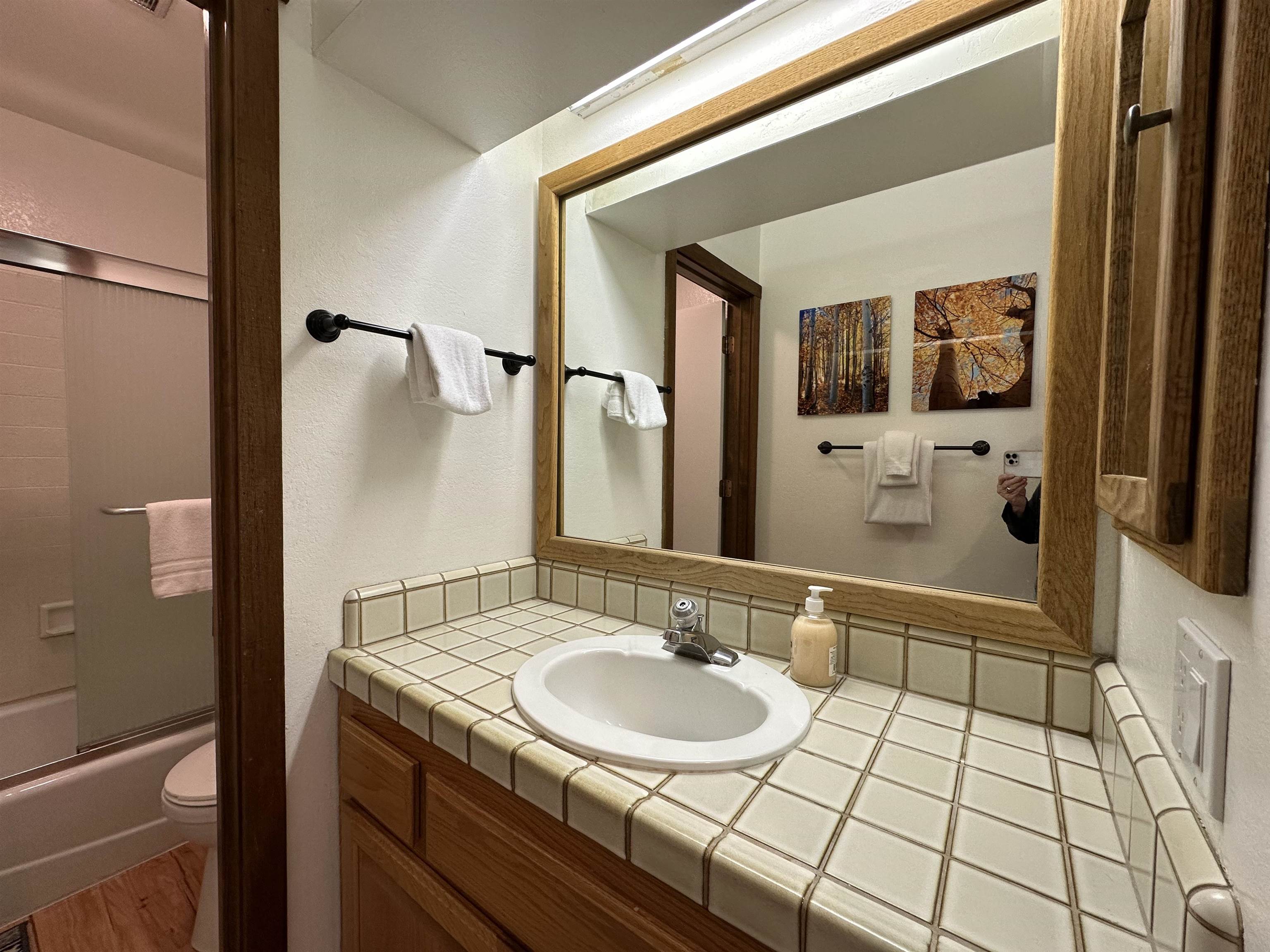 315 Fascination, Unit 315 Mammoth Lakes, CA 93546 - Photo 18 of 44 Bathroom featuring a wood-finish vanity with a tile countertop, integrated sink, and an overhead light fixture