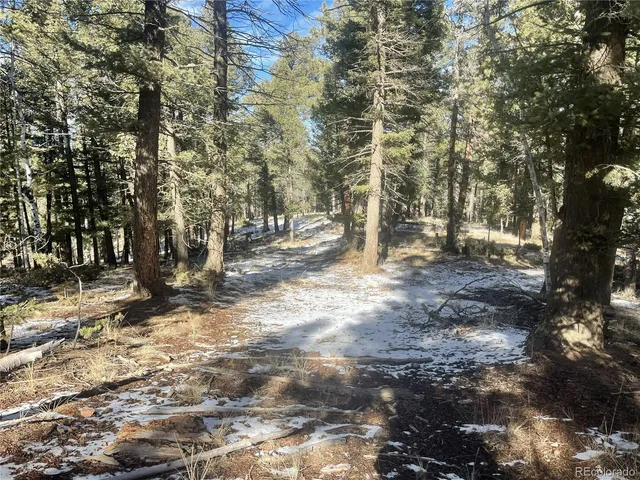 a view of a forest with trees