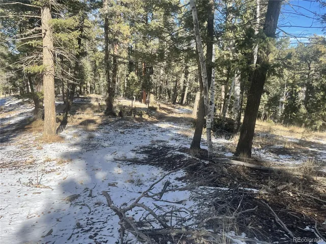 a view of outdoor space with lots of trees