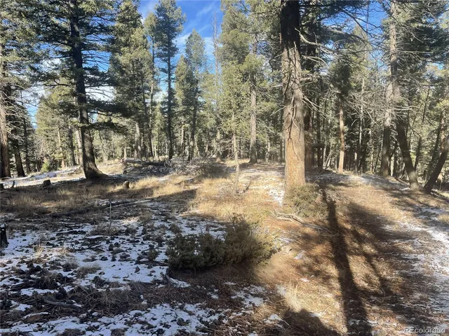 a view of a yard with trees