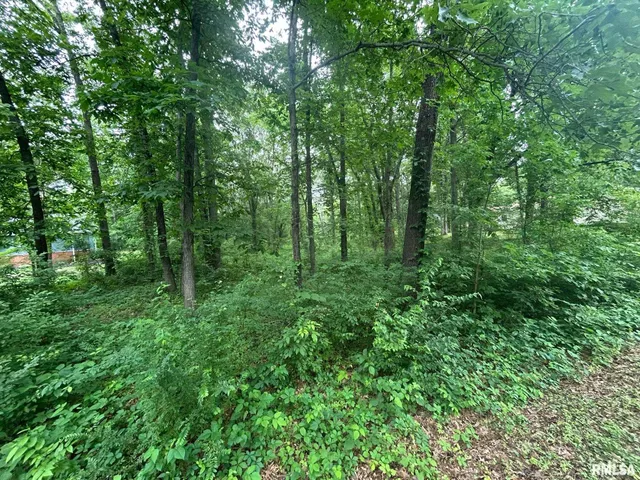 $15,000 | 0 White Birch Court, Benton, IL 62812