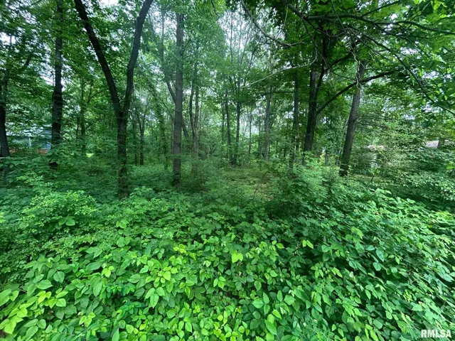 $15,000 | 0 White Birch Court, Benton, IL 62812