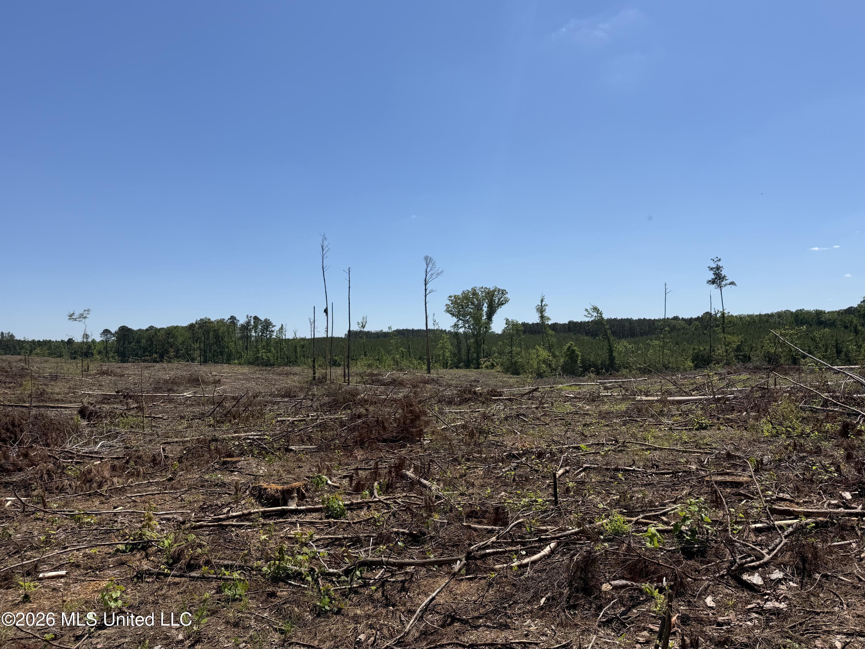 Couparle Road Camden, MS 39045 - Photo 29 of 47 Photo May 12 2026, 2 27 20 PM