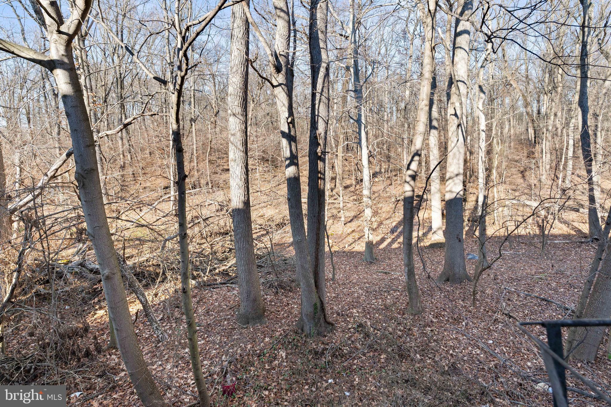 69 Mule Deer Court Elkton, MD 21921 - Photo 17 of 17 Views from the Deck