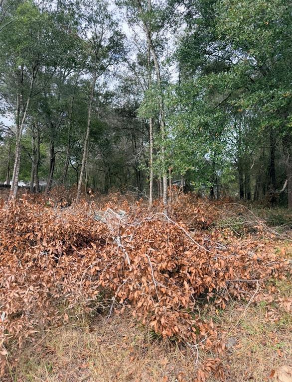 150 1st Way Interlachen, FL 32148 - Photo 4 of 5