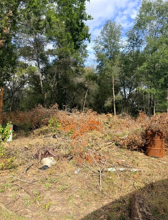 150 1st Way Interlachen, FL 32148 - Photo 5 of 5