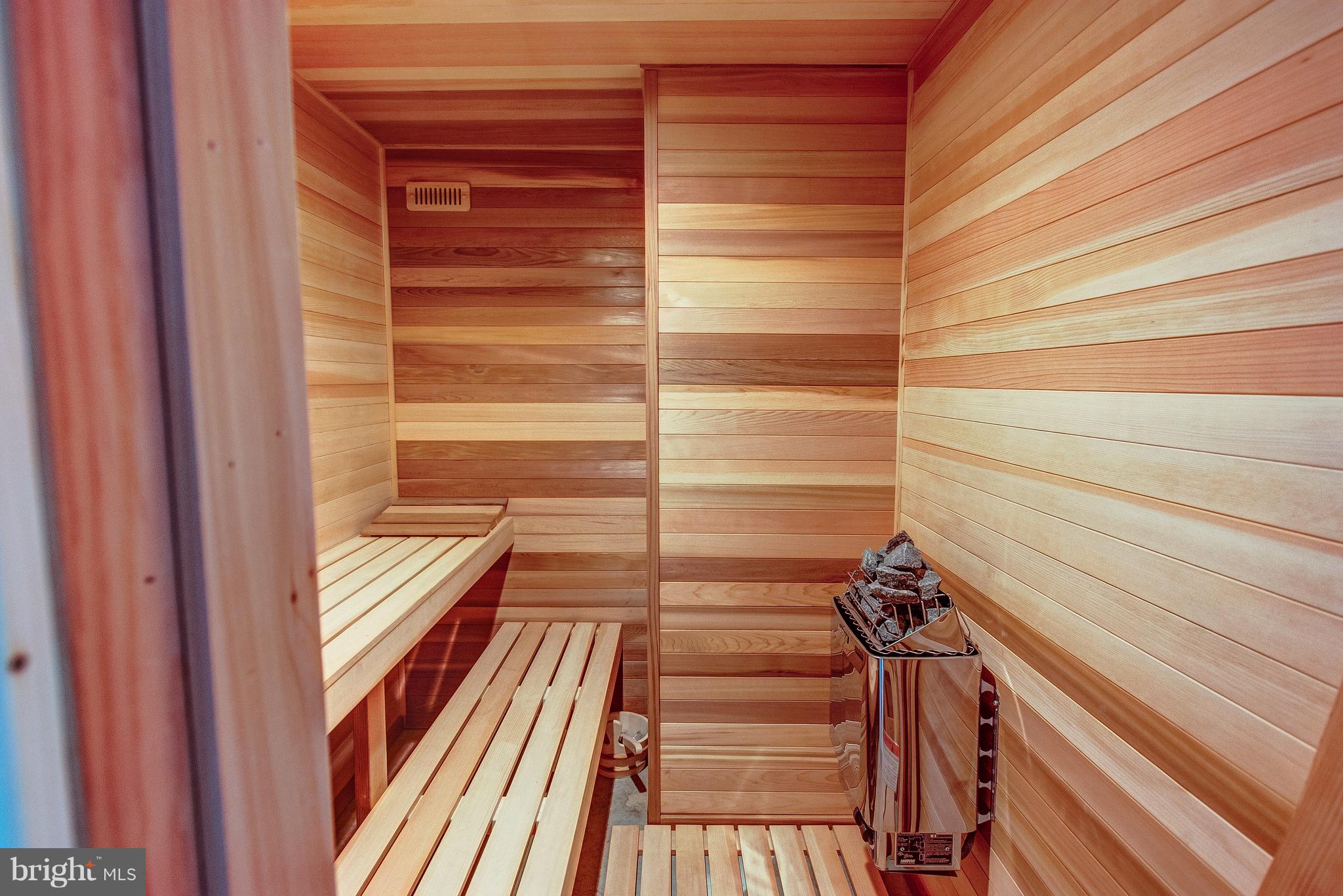 952 Towlston Road McLean, VA 22102 - Photo 30 of 32 Sauna