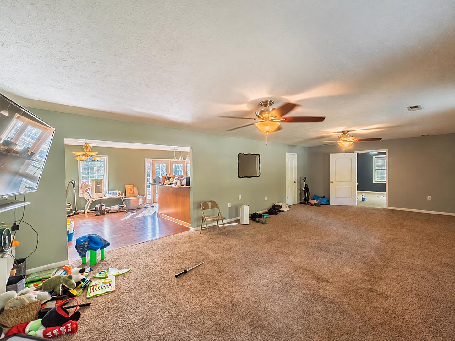 708 Johnson Road Salem, KY 42078 - Photo 8 of 58 Spacious Sage-Green Family Playroom