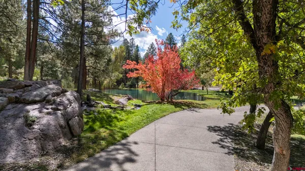 a view of a park with large trees