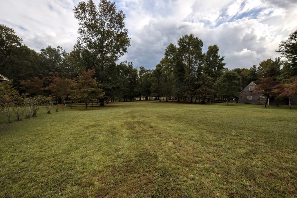 284 Amy Trail Spring City, TN 37381 - Photo 22 of 22 22