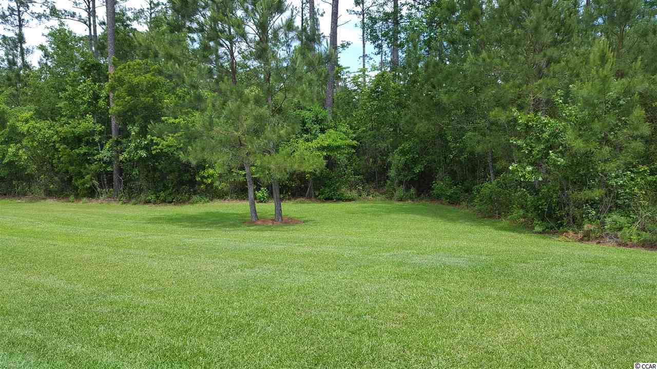 210 Sugar Loaf Lane Murrells Inlet, SC 29576 - Photo 17 of 25 Gallery Image 17