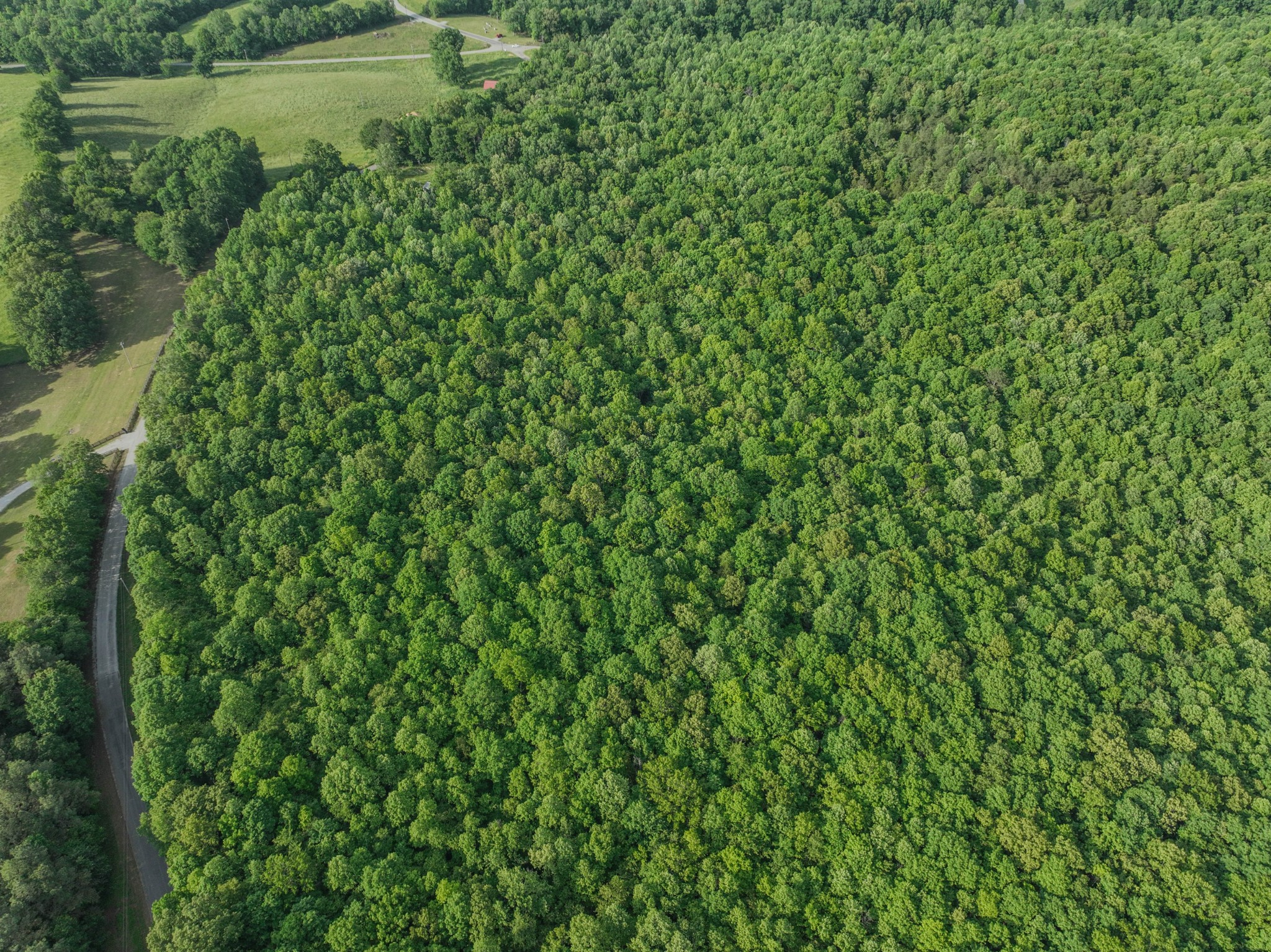 887 Waterloo Road Westpoint, TN 38486 - Photo 3 of 11 a view of a green field with plants