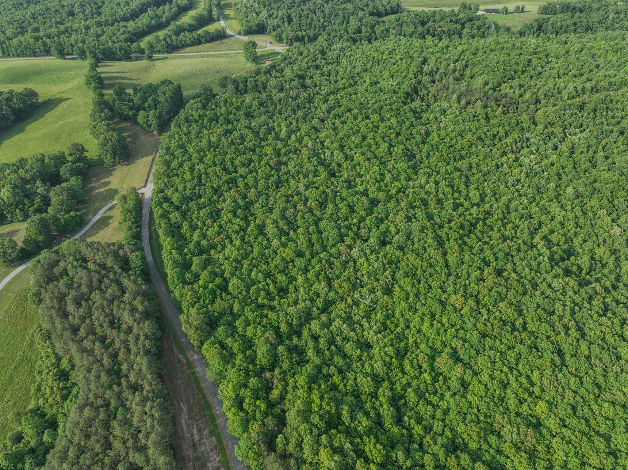 887 Waterloo Road Westpoint, TN 38486 - Photo 5 of 11 a view of a lush green forest with a lake and trees