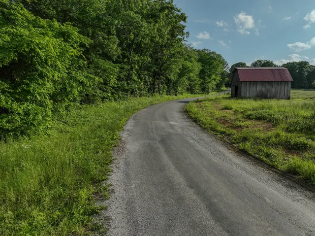 a view of a back yard