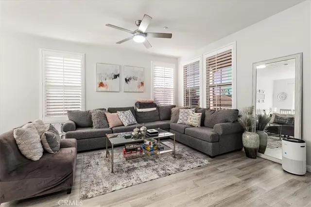 a living room with furniture or couch and a window
