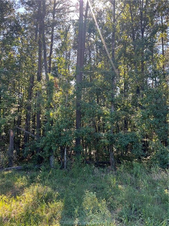 0 Sipka Road Locust Grove, GA 30248 - Photo 3 of 4