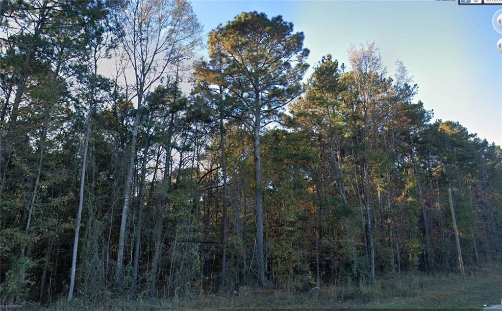 0 Sipka Road Locust Grove, GA 30248 - Photo 4 of 4