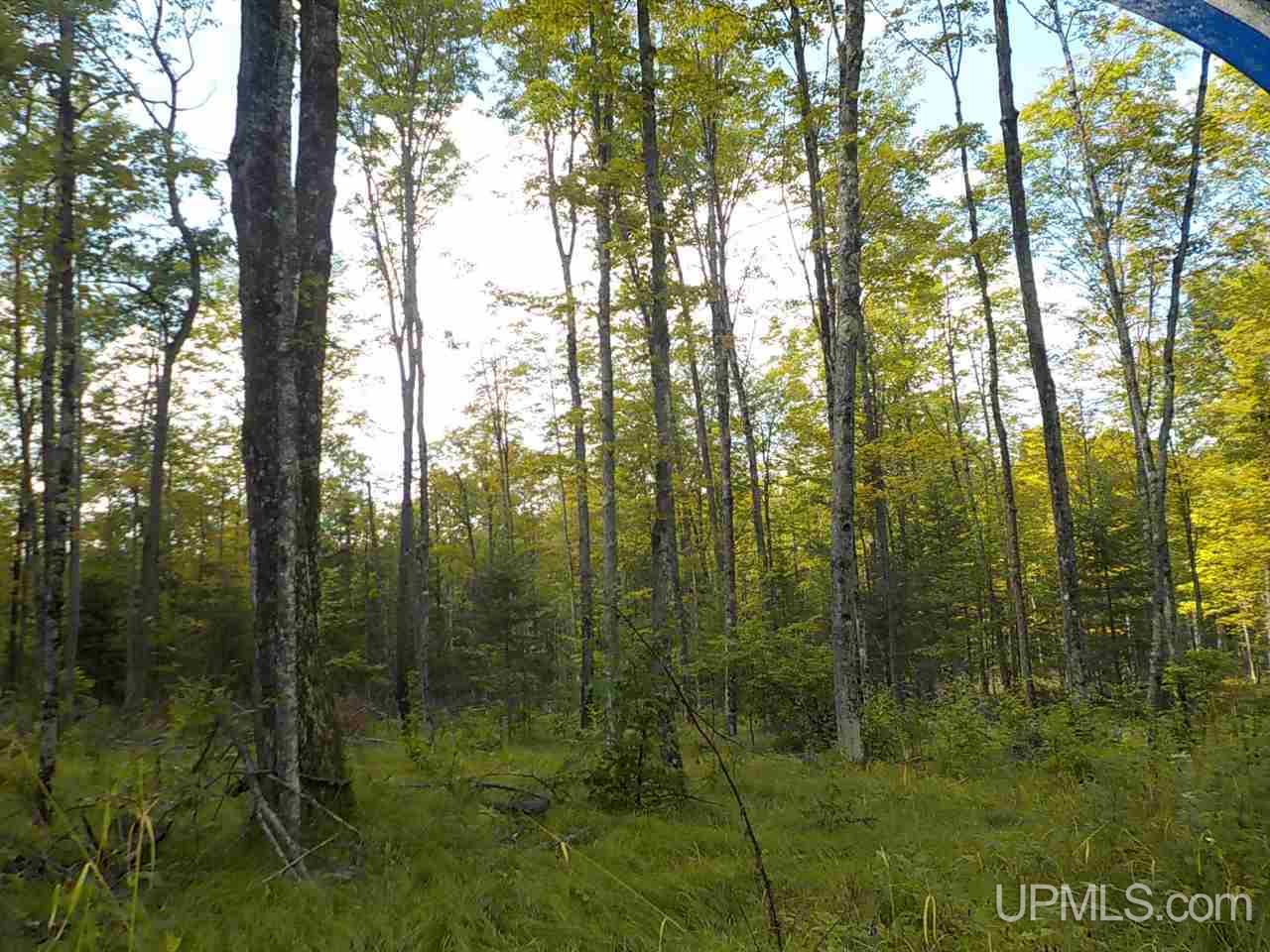 80-ac Mcclaren Road Crystal Falls, MI 49920 - Photo 20 of 27
