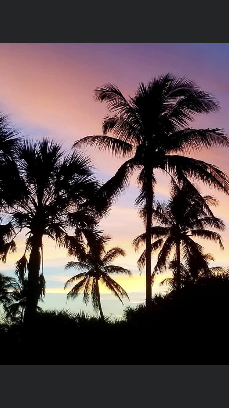 1225 Carlton Court, Unit 202 Fort Pierce, FL 34949 - Photo 15 of 15