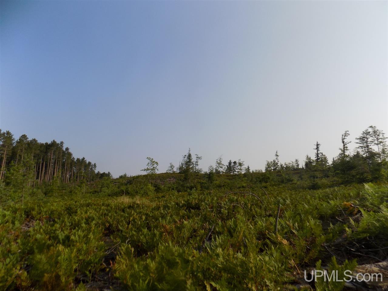 Off Off Co Road Ishpeming, MI 49849 - Photo 2 of 18