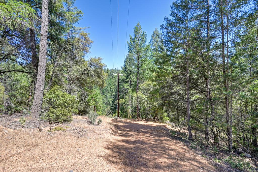 23505 Grand View Way Colfax, CA 95713 - Photo 27 of 32