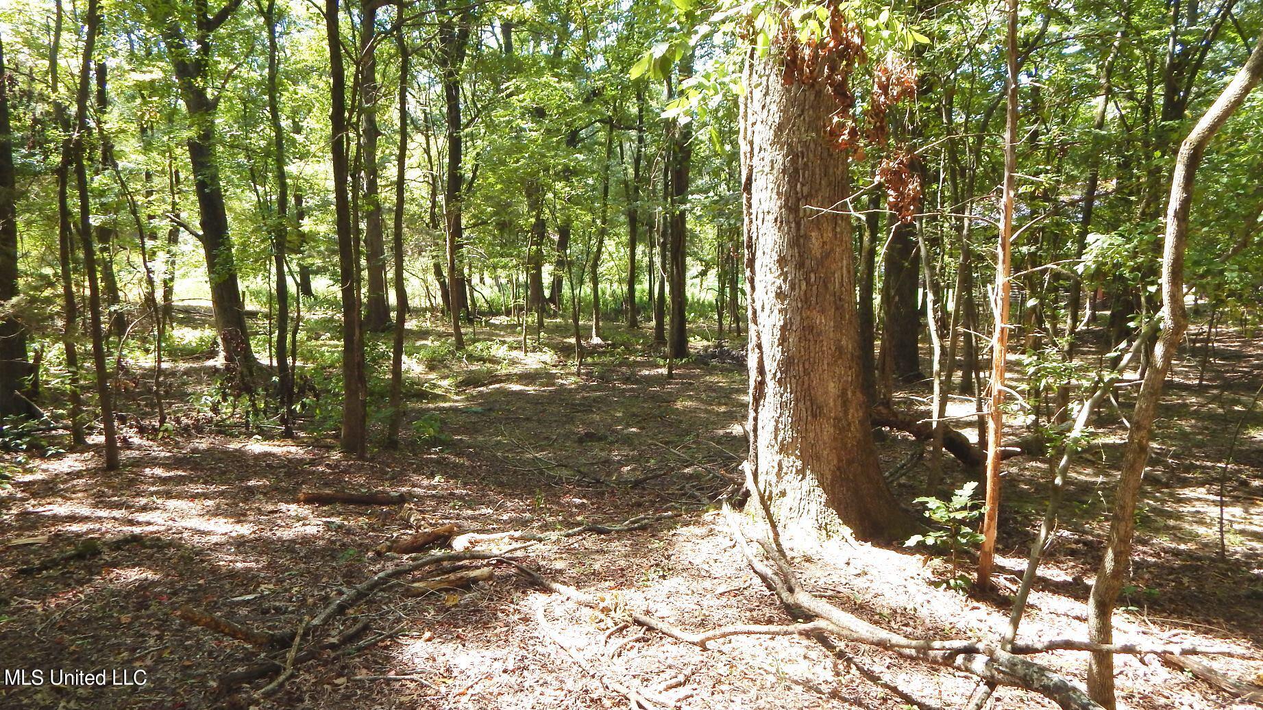 139 Oakdale Road Coldwater, MS 38618 - Photo 13 of 22 DSCN5749