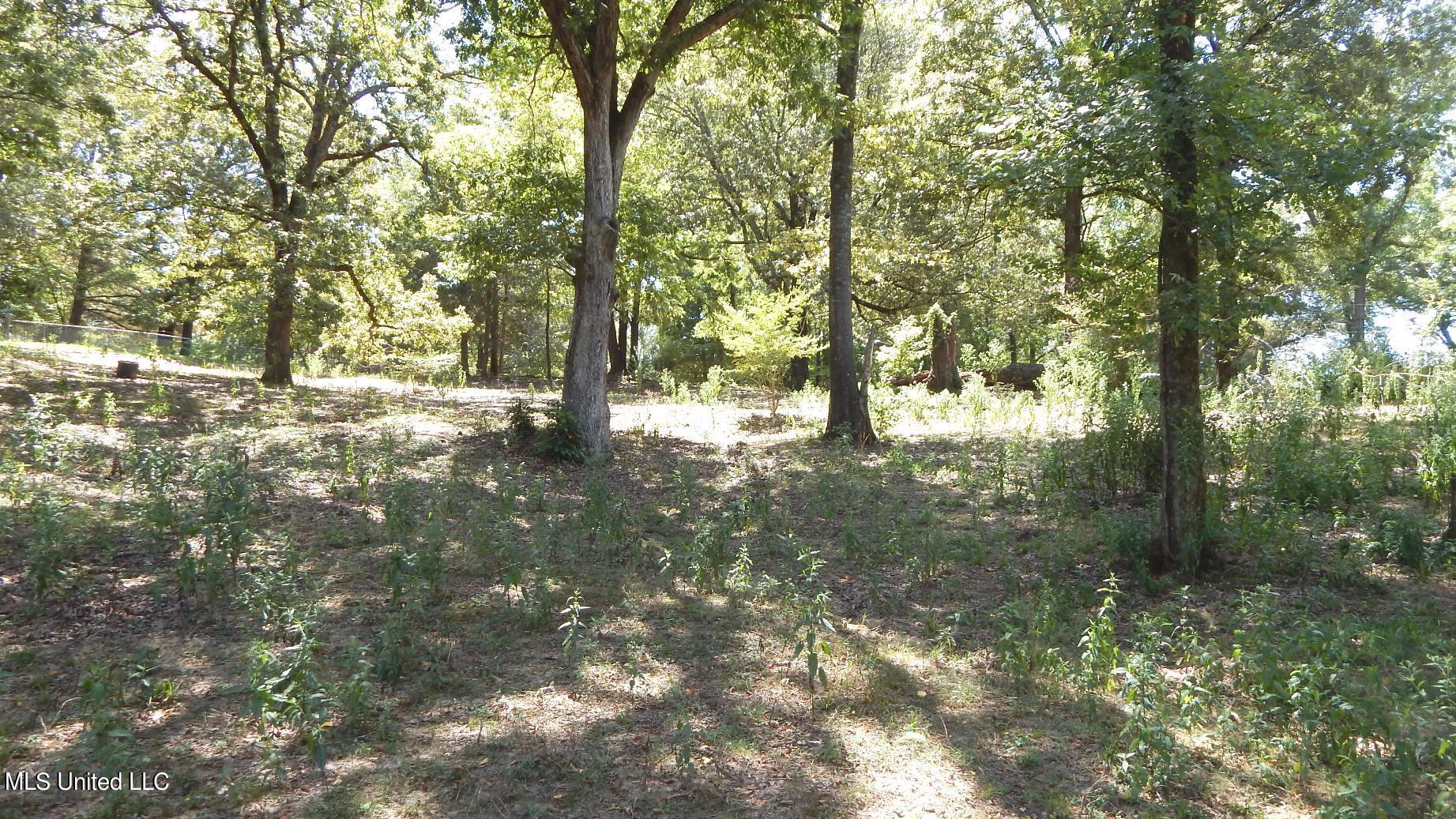 139 Oakdale Road Coldwater, MS 38618 - Photo 17 of 22 DSCN5753
