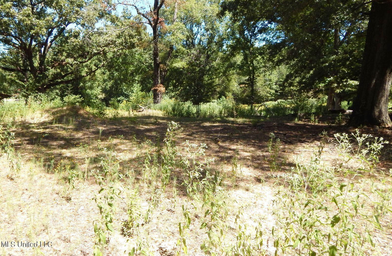 139 Oakdale Road Coldwater, MS 38618 - Photo 8 of 22 DSCN5741