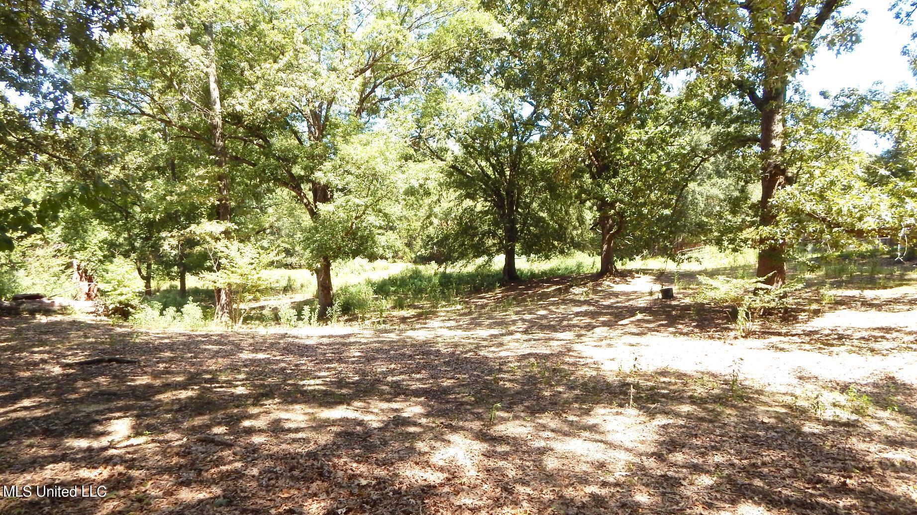 139 Oakdale Road Coldwater, MS 38618 - Photo 9 of 22 DSCN5743