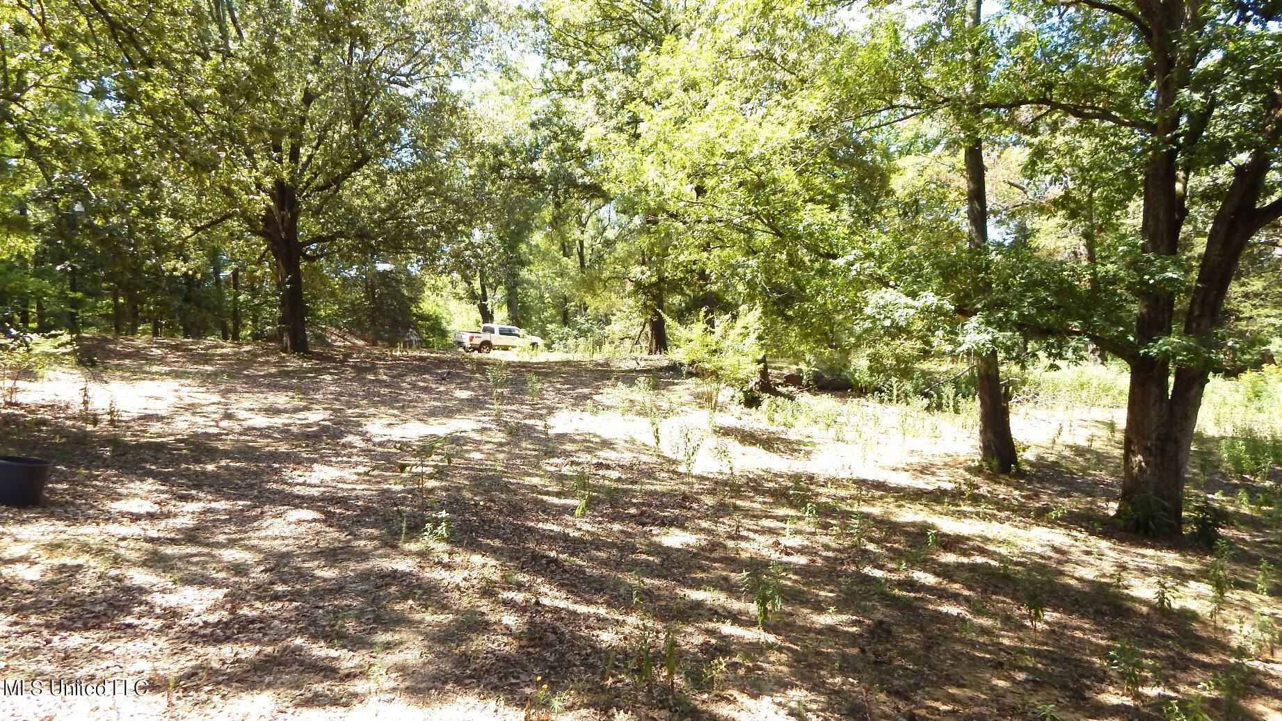 139 Oakdale Road Coldwater, MS 38618 - Photo 10 of 22 DSCN5744