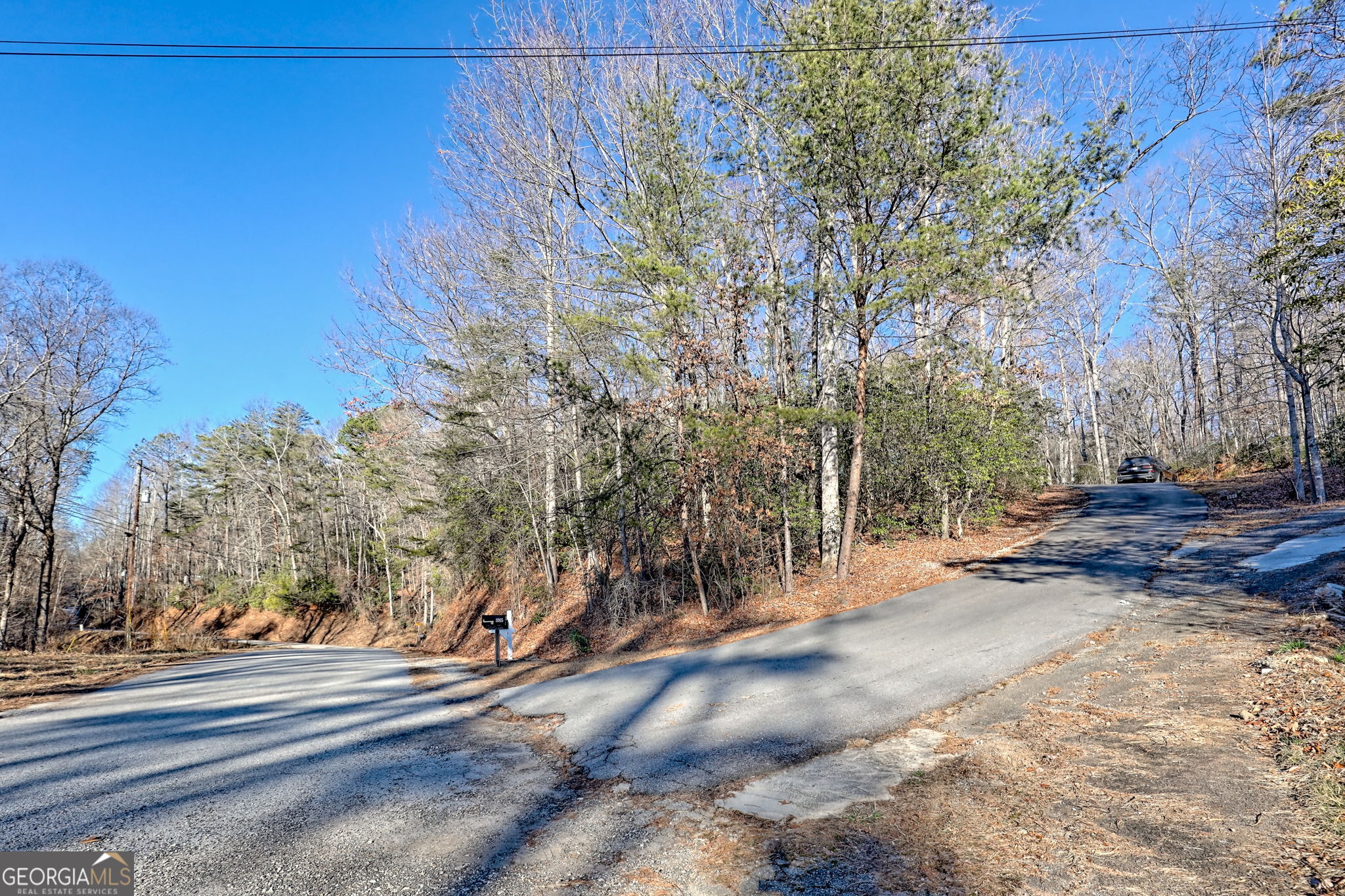 1063 Joe Davis Road Tiger, GA 30576 - Photo 35 of 39 a view of a yard with tree s