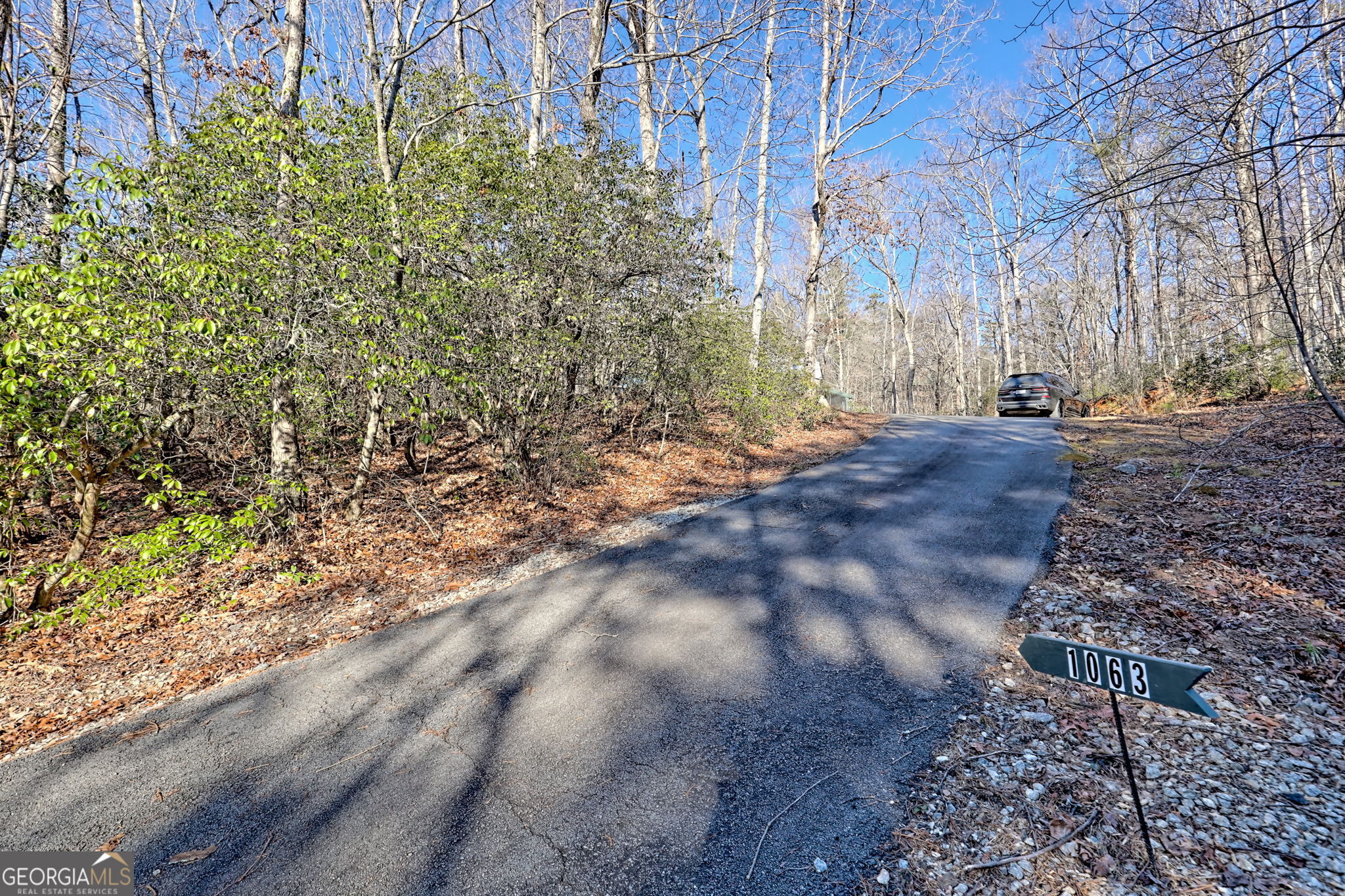 1063 Joe Davis Road Tiger, GA 30576 - Photo 36 of 39 a view of yard