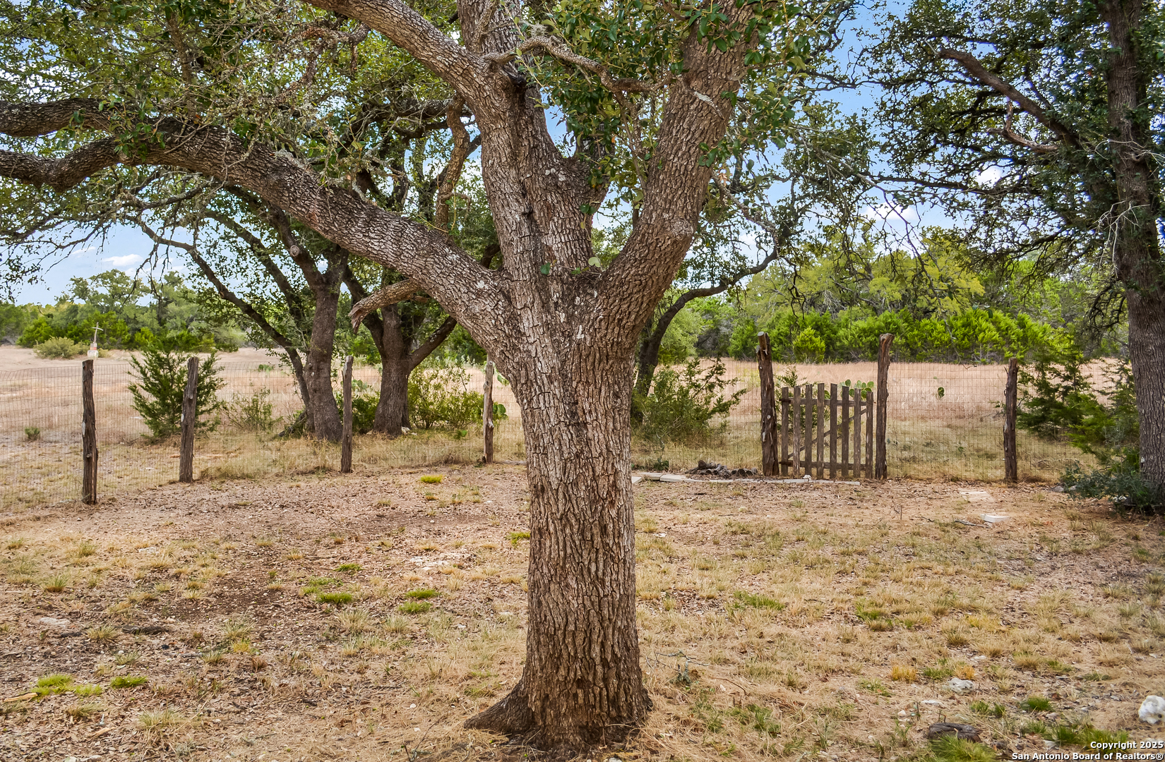 1263 Agaritaville Spring Branch, TX 78070 - Photo 25 of 42