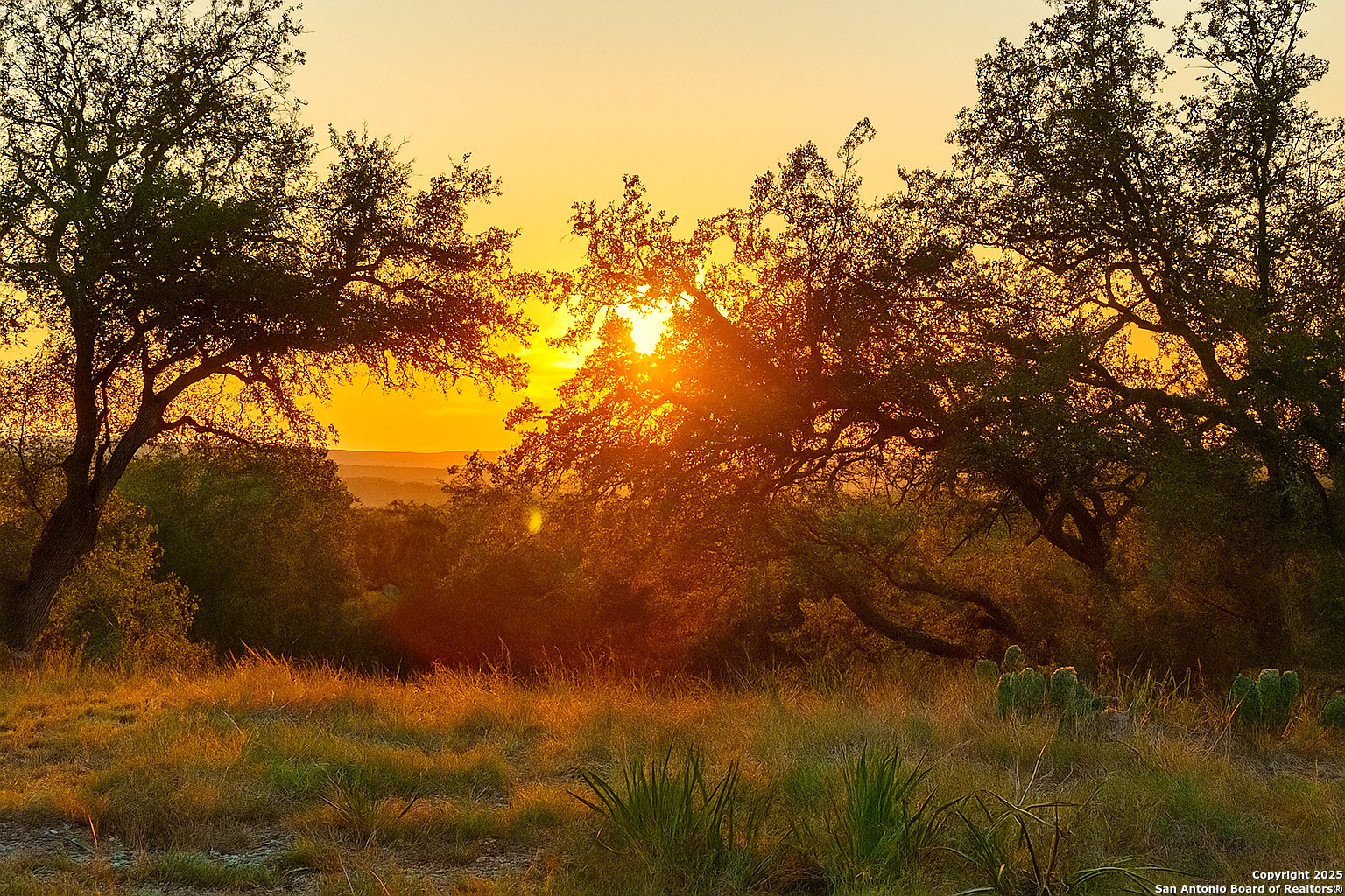 1263 Agaritaville Spring Branch, TX 78070 - Photo 26 of 42