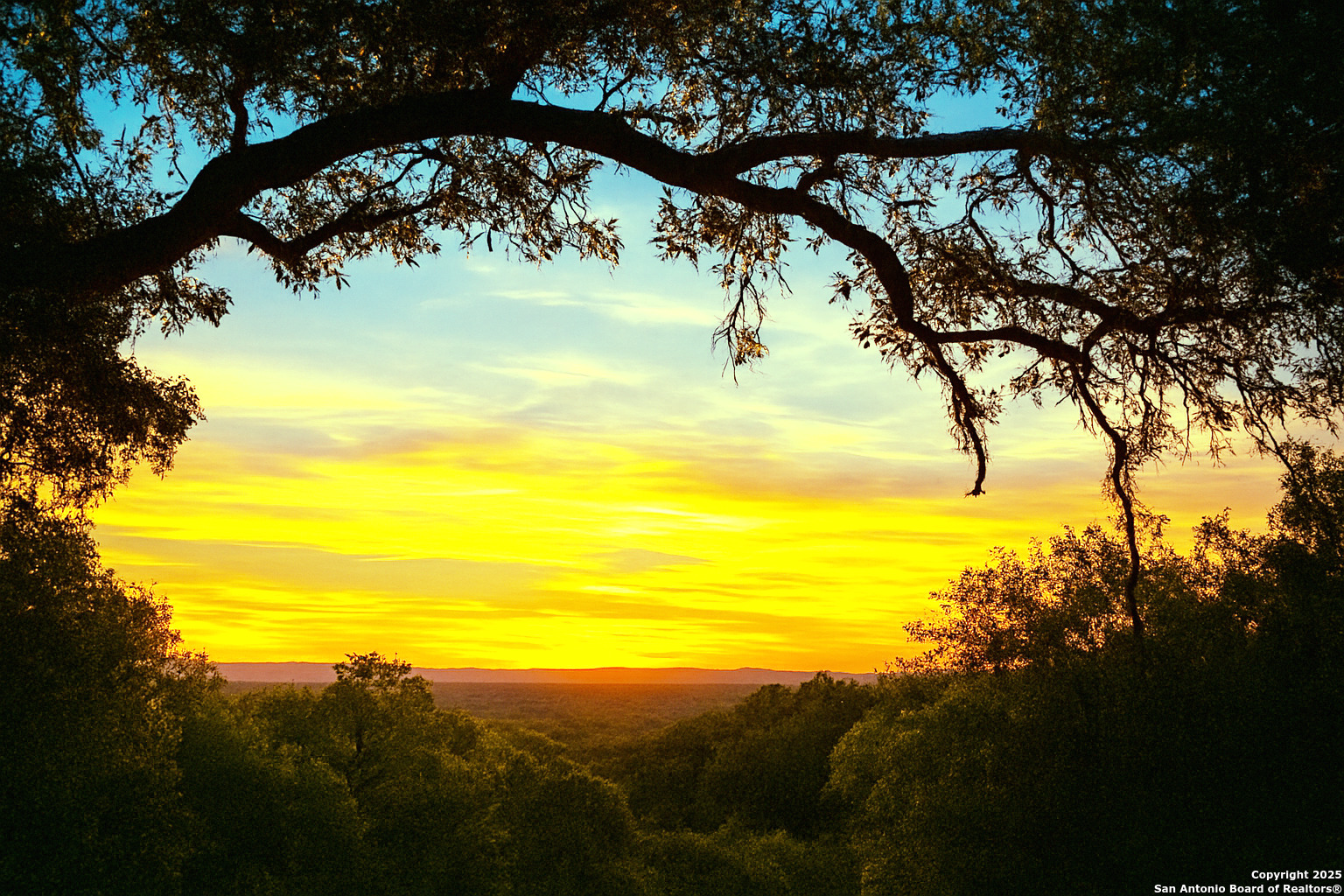 1263 Agaritaville Spring Branch, TX 78070 - Photo 27 of 42