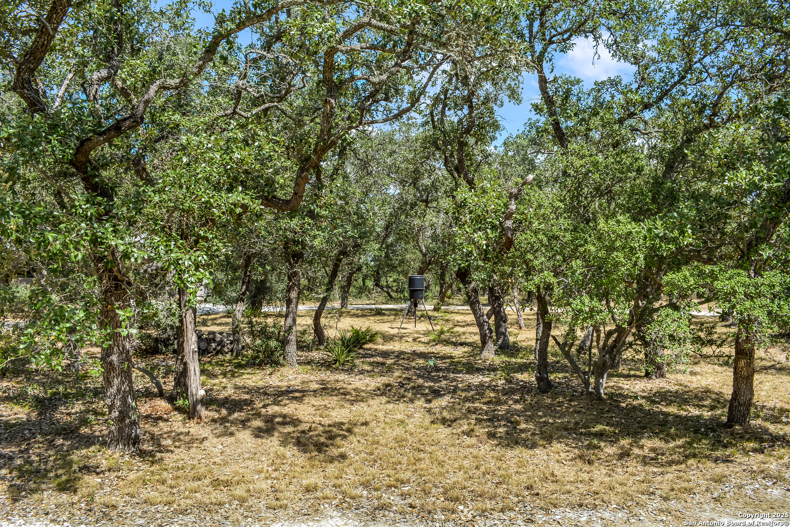 1263 Agaritaville Spring Branch, TX 78070 - Photo 30 of 42