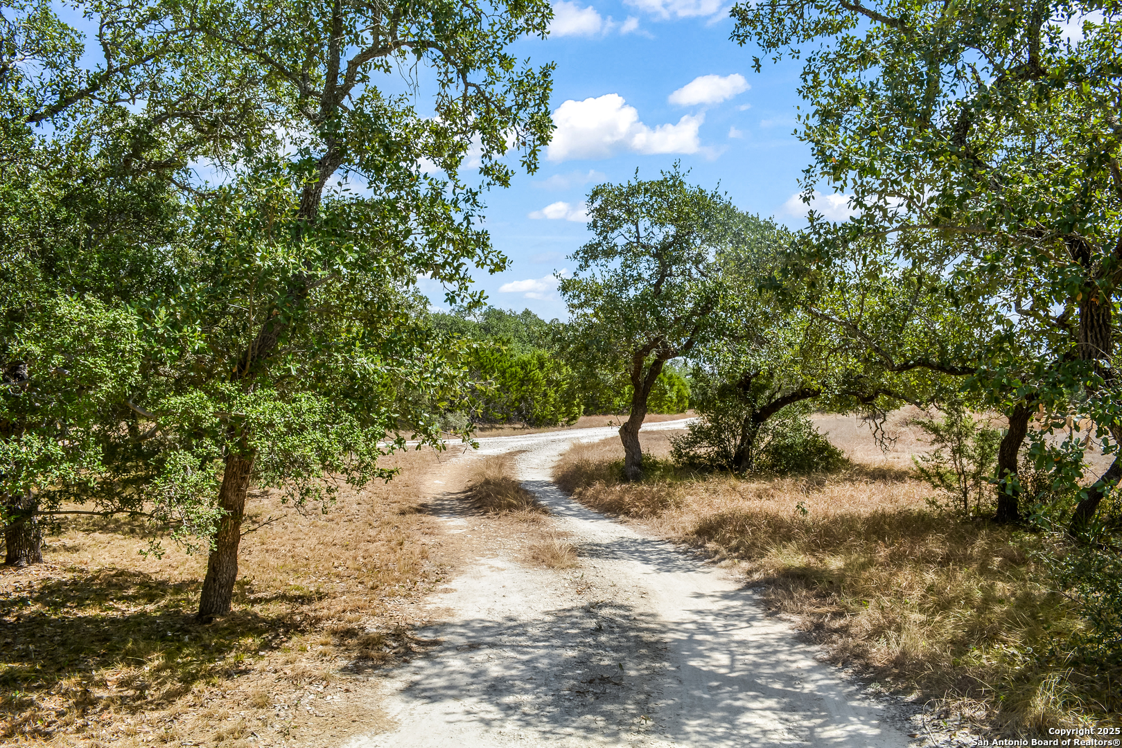 1263 Agaritaville Spring Branch, TX 78070 - Photo 31 of 42